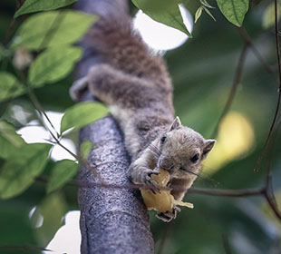 在线手机号轰炸测试